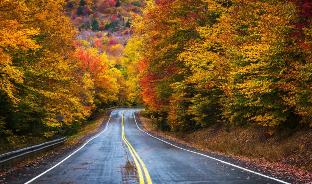 New England - Holidays to the USA