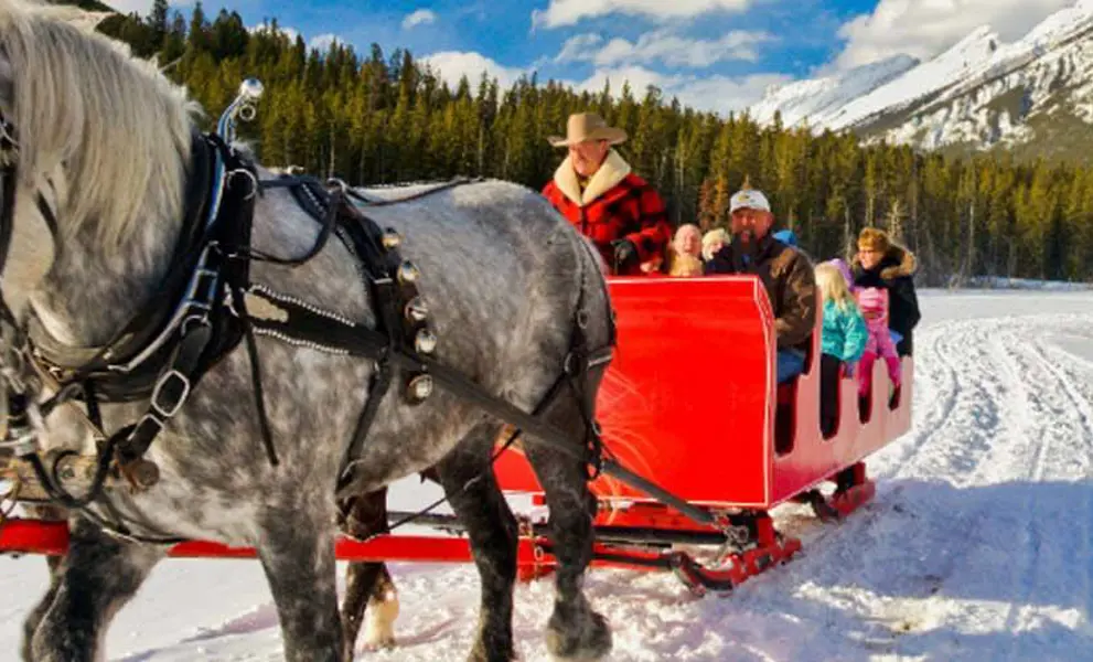 Horse drawn sleigh