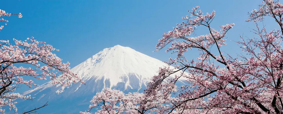 Mount Fuji