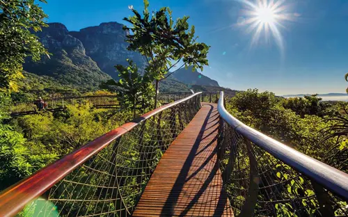 Kirstenbosch Botanical Gardens, Cape Town