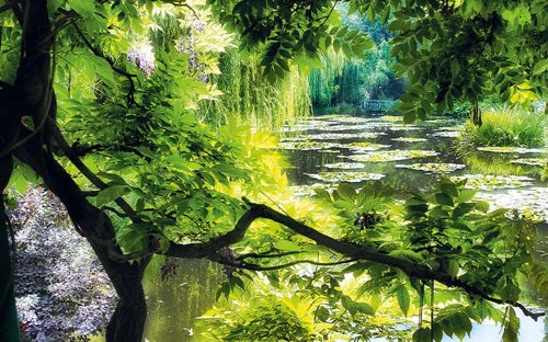 Monets Garden, Giverny