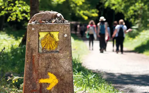 Walking the Camino de Santiago