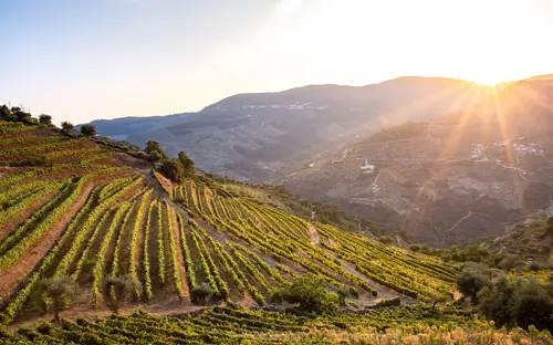 Douro Valley