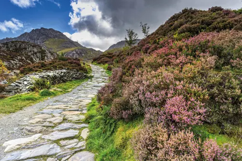 snowdonia national park walking