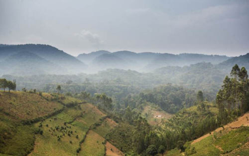 Uganda Hills