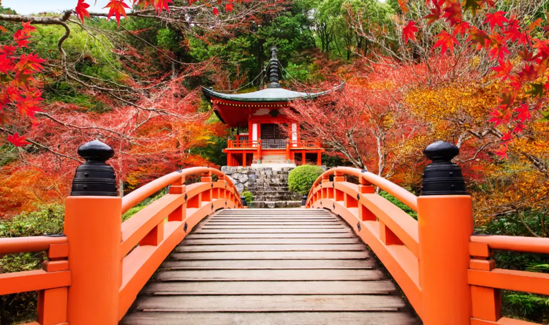 Kyoto - Japan escorted tours