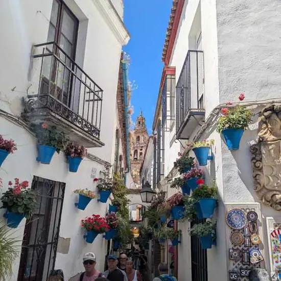 TS_Andalucia_Rob_street.jpg