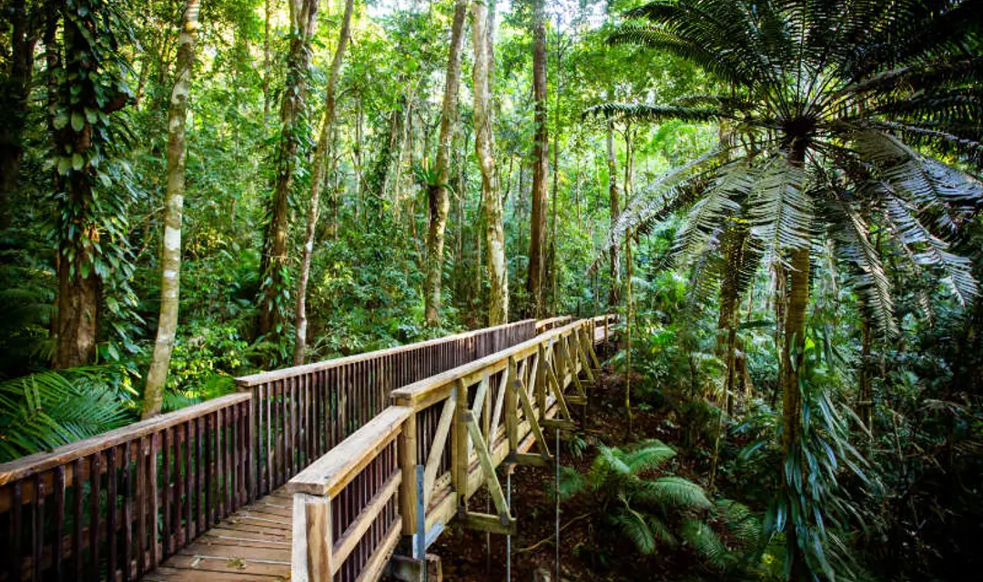 Cairns, Australia