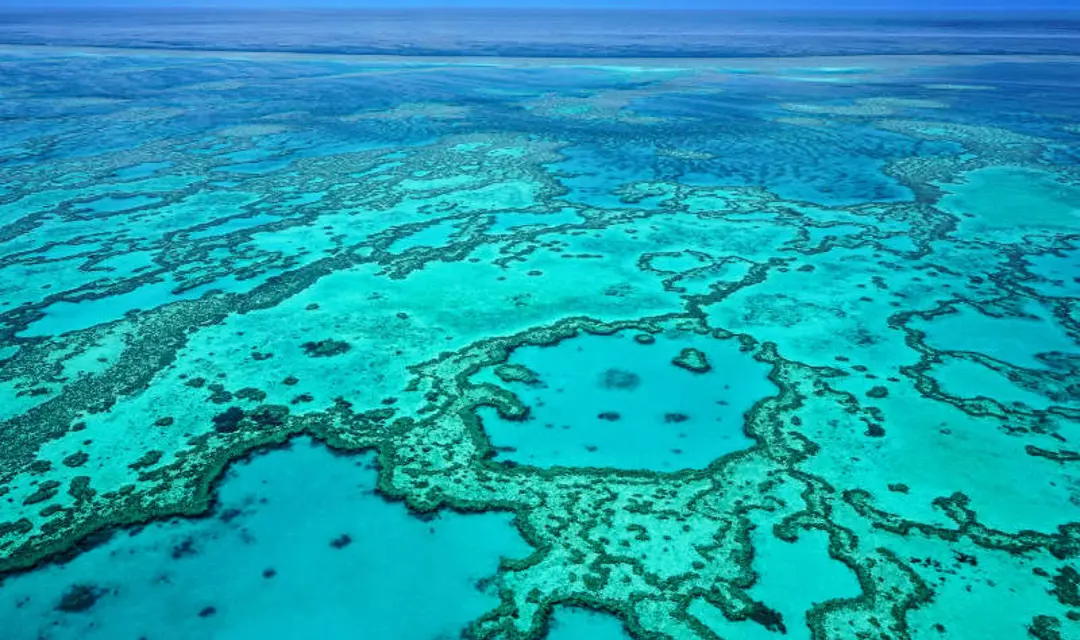 Great Barrier Reef, Australia